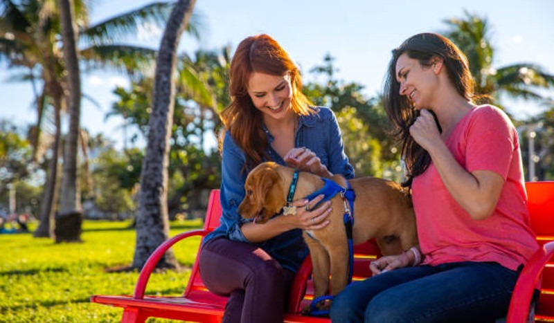 Bronwyn Stanford on Importing International Pets into Florida